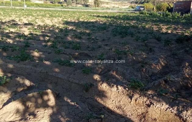 Resale - Country Property/Finca - Arneva - LOS DESAMPARADOS