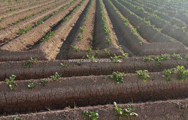 Resale - Country Property/Finca - Arneva - LOS DESAMPARADOS