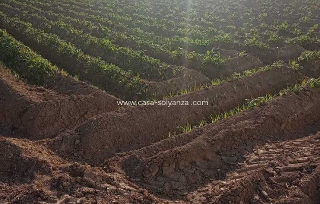 Resale - Country Property/Finca - Arneva - LOS DESAMPARADOS