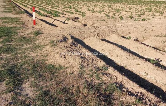 Resale - Country Property/Finca - Arneva - LOS DESAMPARADOS