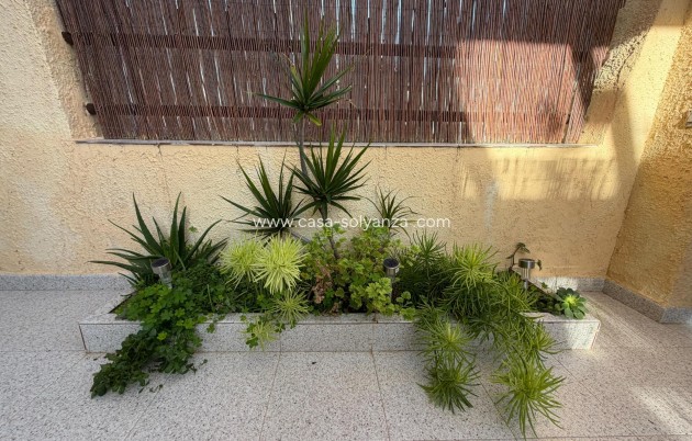 Resale - Apartment / flat - Lo Pagan - La Puntica