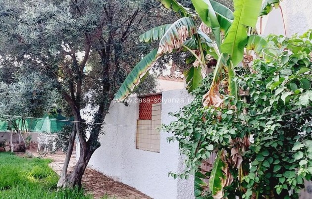 Resale - Villa - Orihuela Costa - Punta Prima