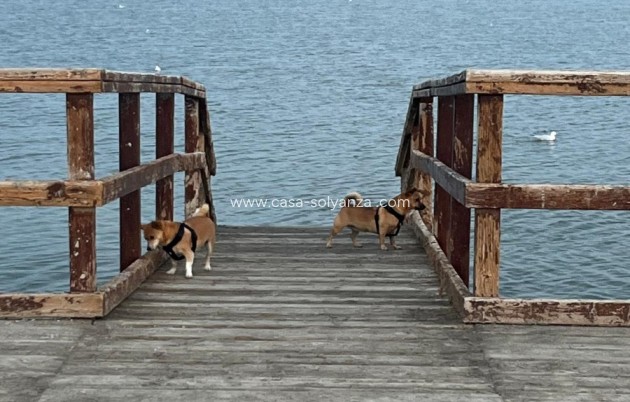 Reventa - Adosado - San Pedro del Pinatar - Los Antolinos