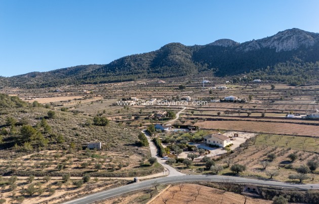 Resale - Country Property/Finca - La Zarza - Inland