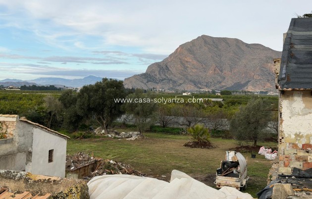 Reventa - Country Property/Finca - Orihuela - San Bartolomé