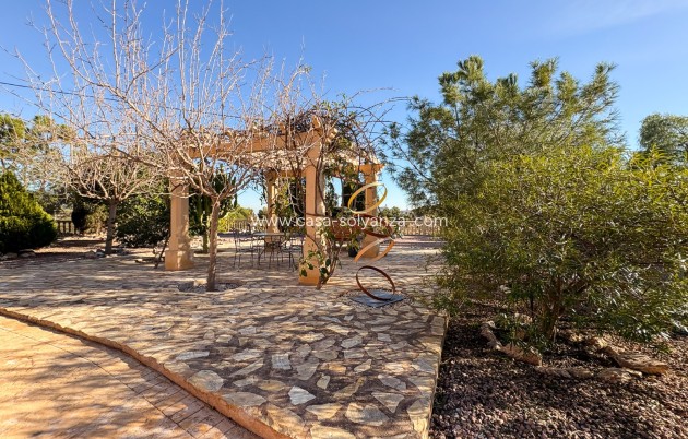 Resale - 2. Town house - Crevillente - Crevillent