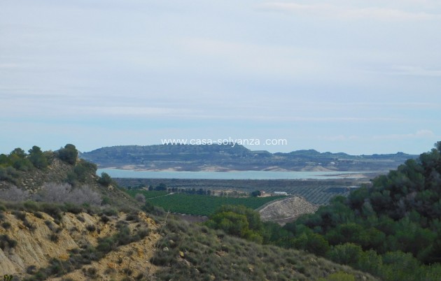 Wiederverkauf - Finca / Country Property - Torremendo