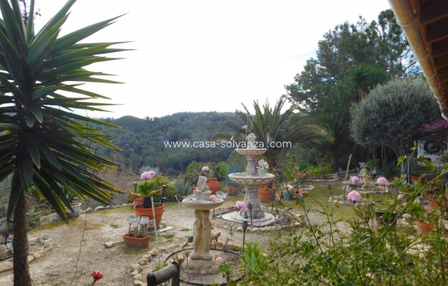 Wiederverkauf - Finca / Country Property - Torremendo