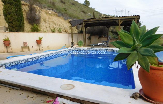 Wiederverkauf - Finca / Country Property - Torremendo