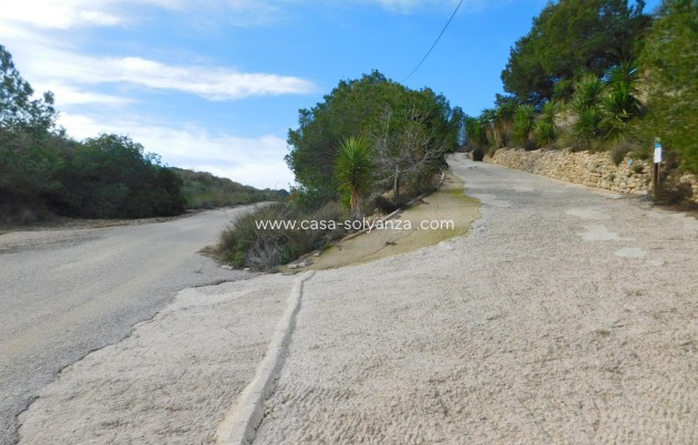 Wiederverkauf - Finca / Country Property - Torremendo