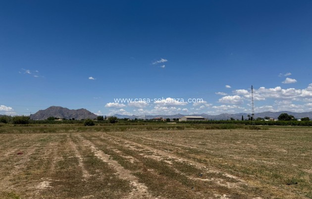 Resale - Apartment / flat - Almoradí - Inland