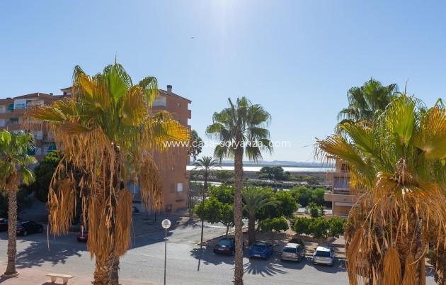Resale - Apartment / flat - Guardamar del Segura - Costa Blanca