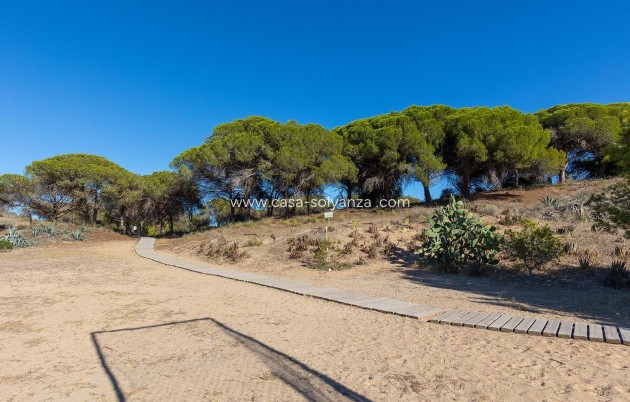 Resale - Apartment / flat - Guardamar del Segura - Costa Blanca