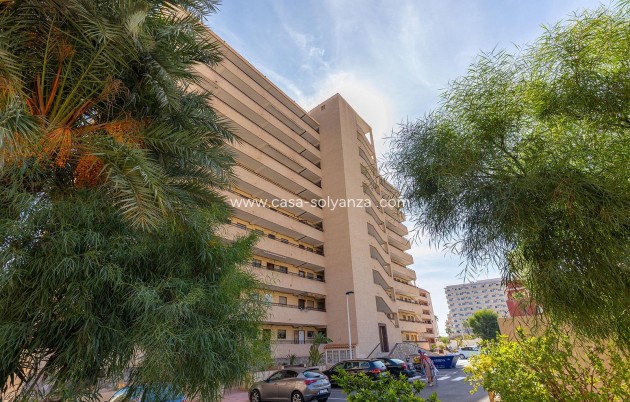Resale - Apartment / flat - Torrevieja - Costa Blanca