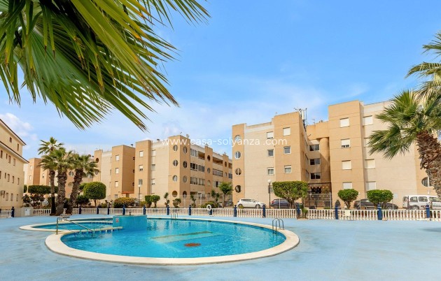 Resale - Apartment / flat - Torrevieja - Costa Blanca