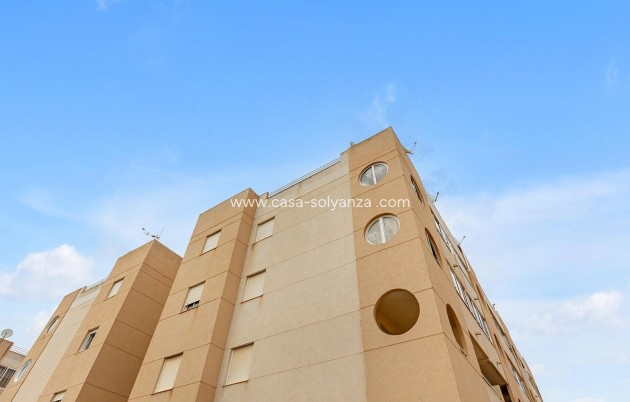 Resale - Apartment / flat - Torrevieja - Costa Blanca