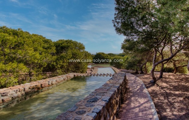 Resale - Bungalow - Torrevieja - Costa Blanca