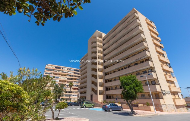 Resale - Apartment / flat - Torrevieja - Costa Blanca