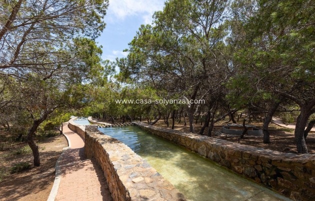 Resale - Bungalow - Torrevieja - Costa Blanca