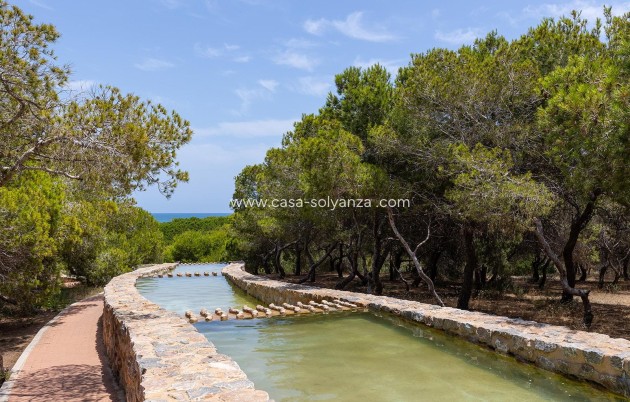 Resale - Bungalow - Torrevieja - Costa Blanca