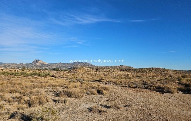 Revente - Land - Elda - 03600