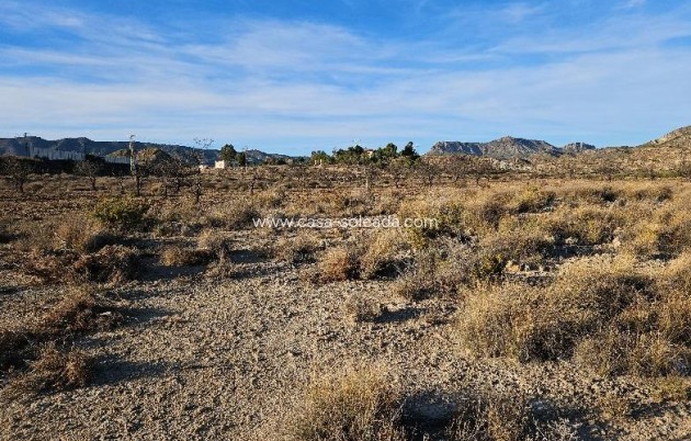 Revente - Land - Elda - 03600