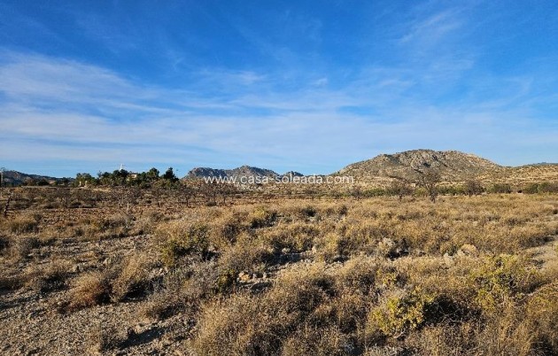 Revente - Land - Elda - 03600