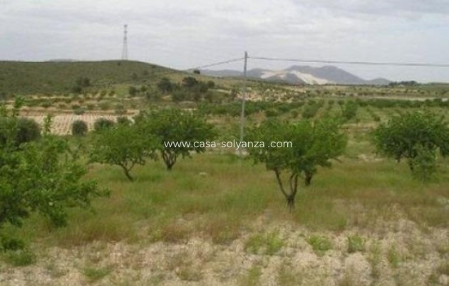 Resale - Land - Abanilla - Cañada Del Trigo