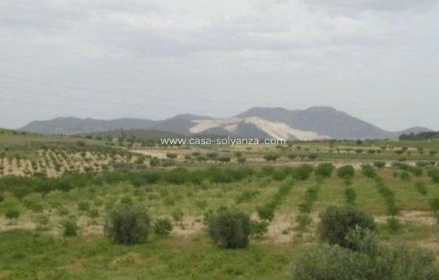 Resale - Land - Abanilla - Cañada Del Trigo