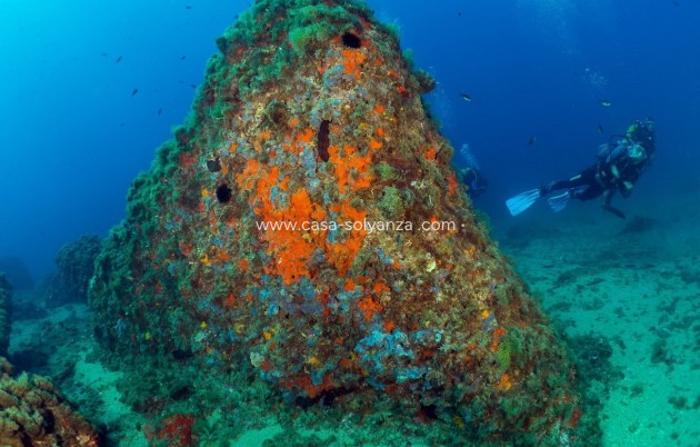 New Build - Apartment / flat - Aguilas - Isla Del Fraile