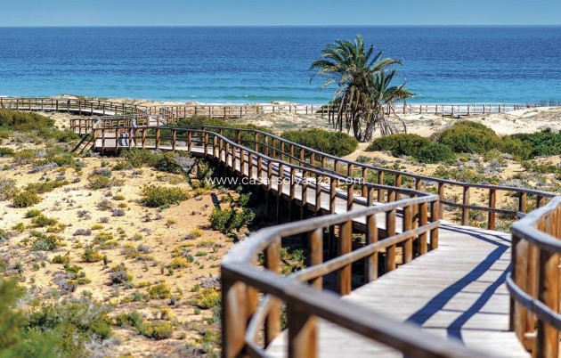 New Build - Apartment / flat - Monforte del Cid - Alenda Golf