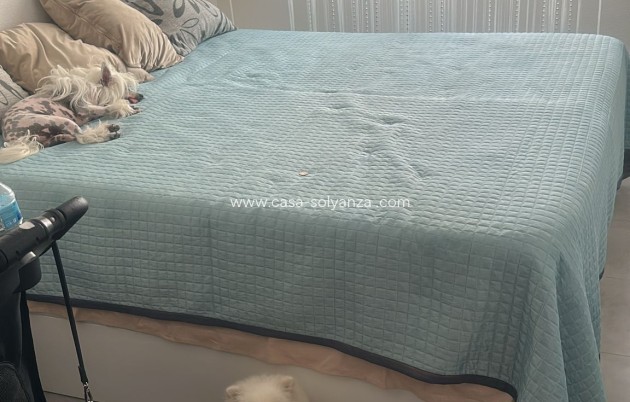 Revente - Appartement - Torrevieja - Playa de los Locos