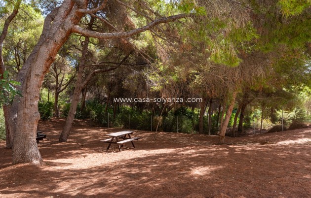 Revente - Appartement - Orihuela Costa - Costa Blanca