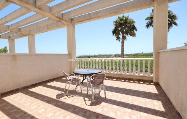 Resale - Commercial - San Miguel de Salinas - Inland