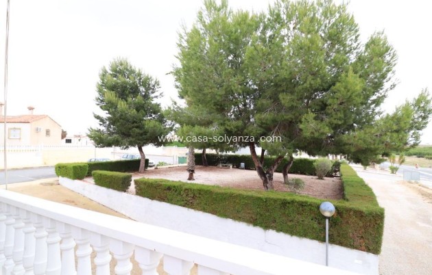 Resale - Commercial - San Miguel de Salinas - Inland