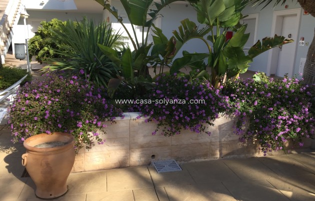 Wiederverkauf - Wohnung - Benisa - Costa Blanca