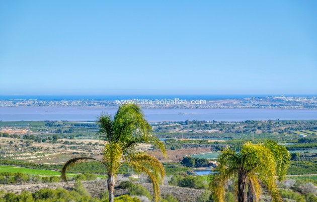 Resale - Villa - San Miguel de Salinas - Inland