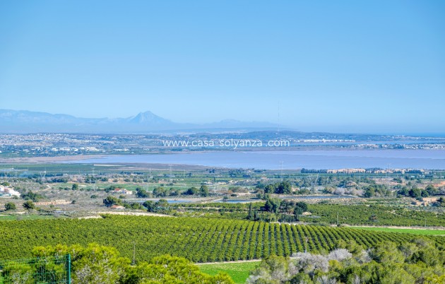 Resale - Villa - San Miguel de Salinas - Inland