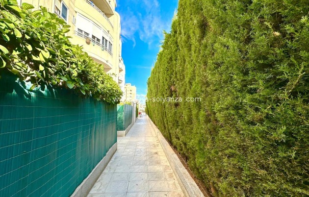 Revente - Appartement - Torrevieja - Playa del Cura