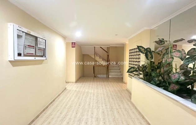 Revente - Appartement - Torrevieja - Acequion