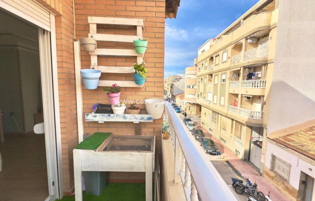 Wiederverkauf - Wohnung - Torrevieja