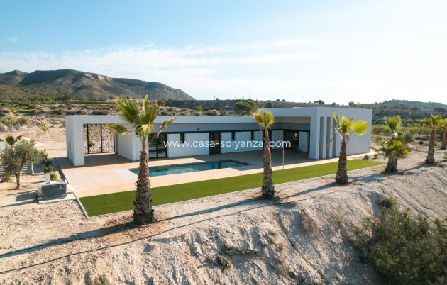 Neue Gebäude - Villa - Pinoso