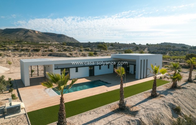 Neue Gebäude - Villa - Pinoso