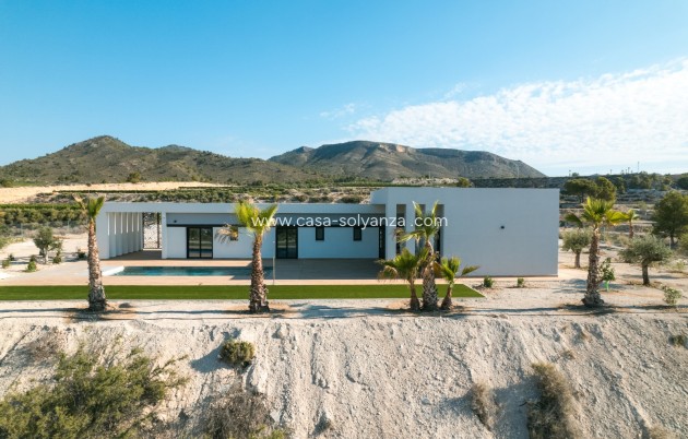 Neue Gebäude - Villa - Pinoso