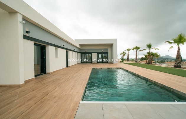 Neue Gebäude - Villa - Pinoso