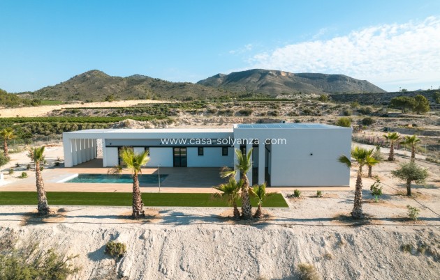 Neue Gebäude - Villa - Pinoso