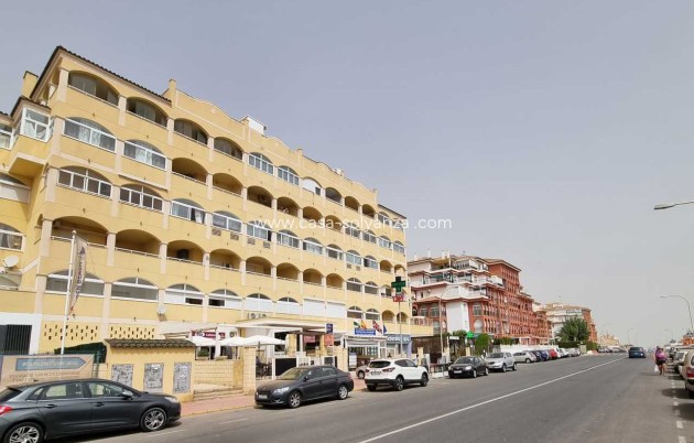 Wiederverkauf - Wohnung - Torrevieja - Costa Blanca