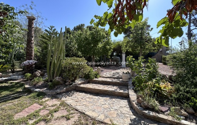 Revente - Villa - Elche - Costa Blanca
