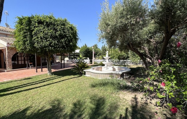Revente - Villa - Elche - Costa Blanca