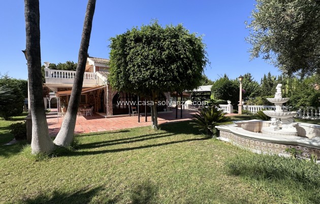Revente - Villa - Elche - Costa Blanca